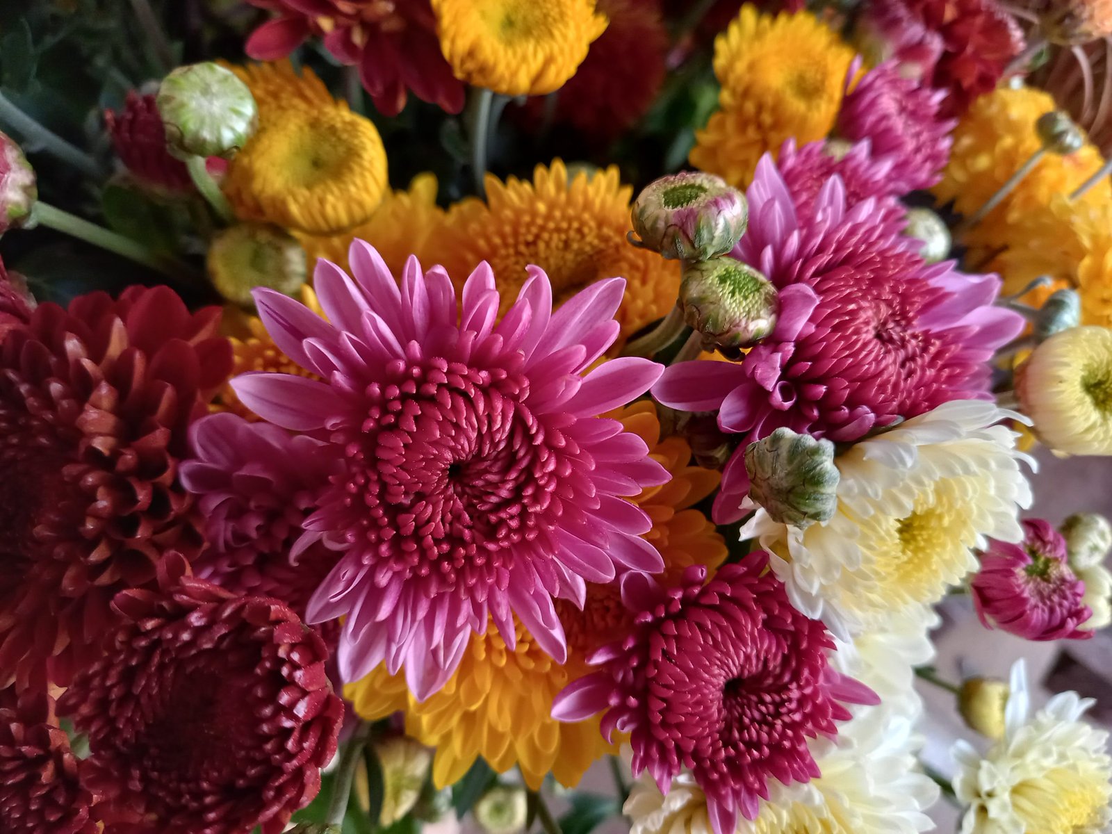 Chrysanthemums Bouquet